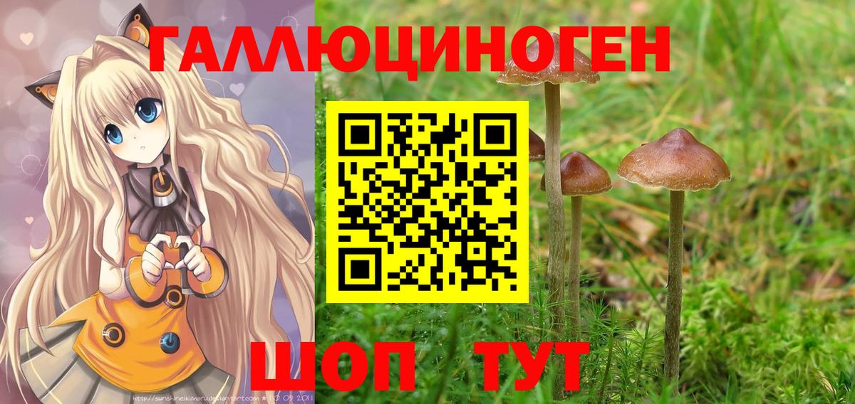 Псилоцибиновые грибы мухоморы  Вход с VPN  Барнаул  Галлюциногенные грибы мухоморы 